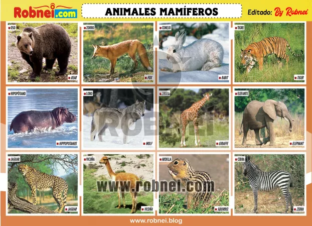 Animales Mamiferos